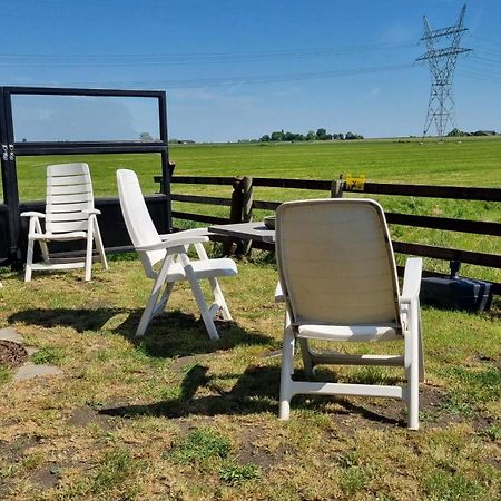 City Farmers Lodge, A Guesthouse With A Skyline View In Rural Amsterdam Eksteriør billede