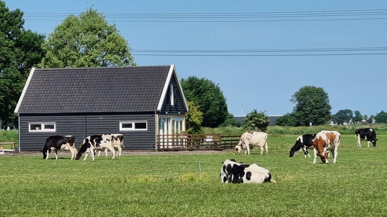 City Farmers Lodge, A Guesthouse With A Skyline View In Rural Amsterdam Eksteriør billede