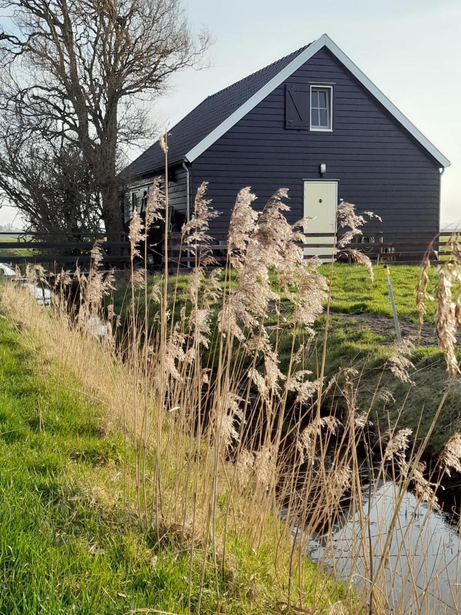 City Farmers Lodge, A Guesthouse With A Skyline View In Rural Amsterdam Eksteriør billede
