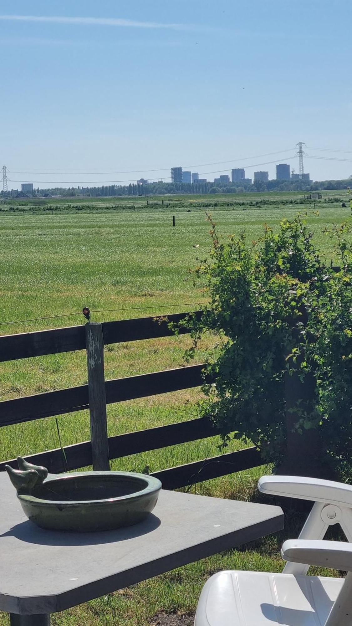 City Farmers Lodge, A Guesthouse With A Skyline View In Rural Amsterdam Eksteriør billede